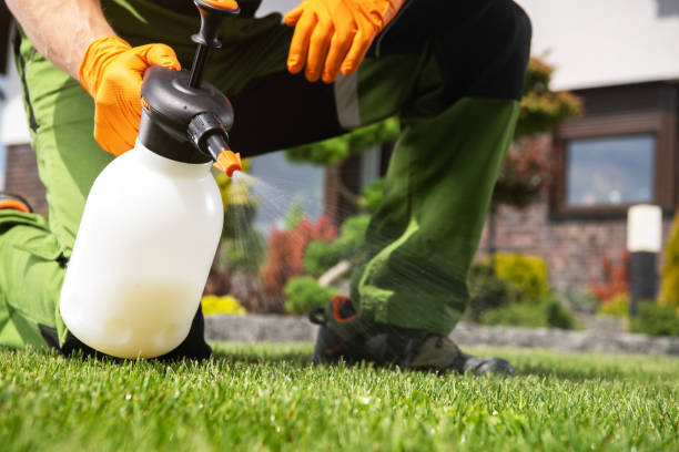 Best Residential Pest Control  in Blue Mound, IL