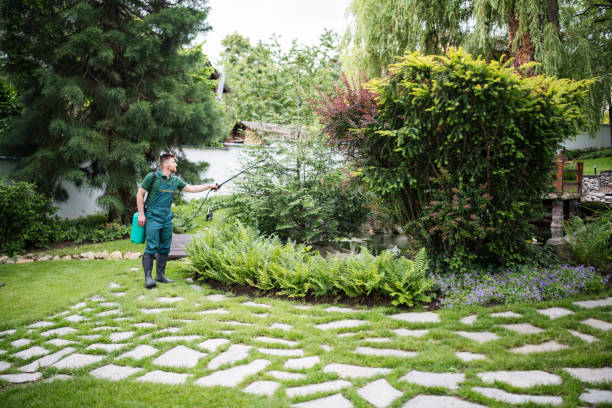 Best Ant Control Services  in Blue Mound, IL