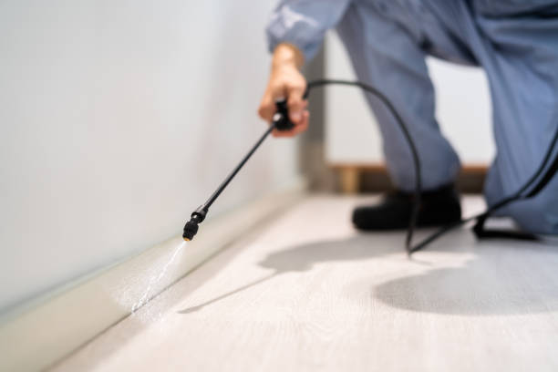 Best Affordable Pest Control Services  in Blue Mound, IL