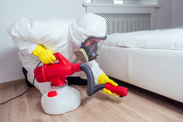Best Cockroach Control Services  in Blue Mound, IL