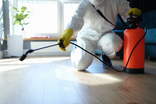 Trusted Blue Mound, IL Pest Control Experts