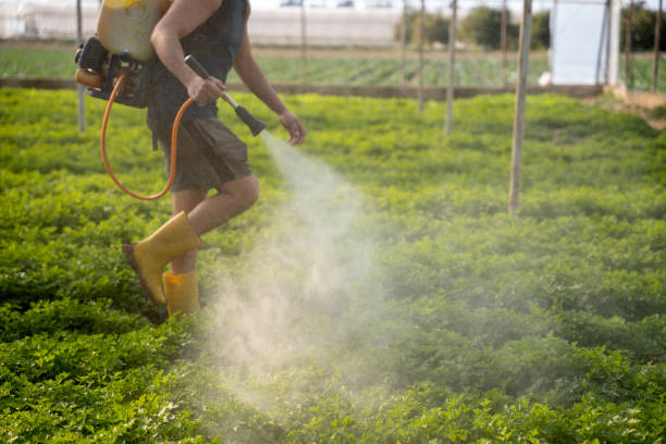 Best Pest Control Near Me  in Blue Mound, IL