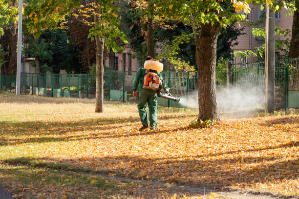 Best Affordable Pest Control Services  in Blue Mound, IL